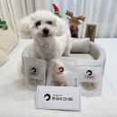 온새네 간식점 이미지