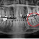 보배로운치과의원 이미지