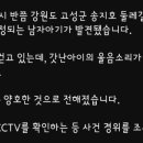 강원도 고성 둘레길에서 생후 1개월(추정) 아기 구조 이미지