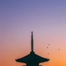 솜사탕탕 - 광진구 | 솜사탕탕