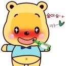 술선생 Daum카페