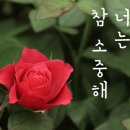 반려동물 아로마 테라피 자격증 이미지