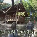 스테이구들 이미지