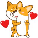 컴뱃헬스 주짓수 이미지