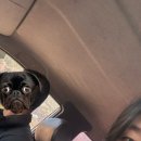 구신 | 구신 아니에요