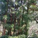 제비2리 이미지