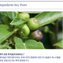 등드름 바디워시: 바이오가 2통쓴 후기