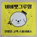 비비펫미용 | [대구 동구] 비비펫 그루밍/ 비숑 가위 컷 잘하는...찾으시면 강추/ 대구 동구 애견미용/ 대구 애견미용