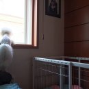 잘다녀오시개 이미지