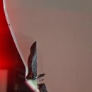 1급수오자동차공업사 이미지