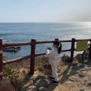 큰엉(남원관광지구) | 제주 올레길 한반도 지형 여행! 남원 큰엉해안경승지 뜻 금호리조트 산책로