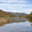 반디민박 이미지