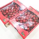 토마토치과의원 이미지