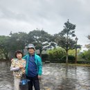 제주 해마 관광호텔 이미지