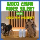 이레목장 1 | 강아지 산양유 먹어도 되나요? 강아지 산양유 추천 이레목장 산양유