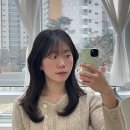 다인CS