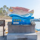 표선리 서동 | 제주도 자전거 종주 3일차, 쇠소깍 인증센터에서 성산일출봉 인증센터까지