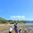 금송 | 남해갯벌체험장, 아이와 함께 대곡, 금송 체험 후기