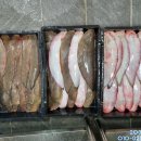 203수산 이미지