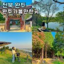 천주교연신내성당 북카페 | 전북 완주 가볼만한곳 송광사 천호성지 삼례비비정 국내당일여행