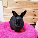 두원실업(주) 이미지