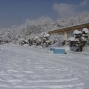 서선초등학교 이미지