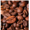 Coffea arabica 이미지