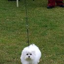 그리시아 화이트 매직 이미지