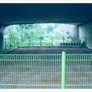 상하동 족구장 이미지