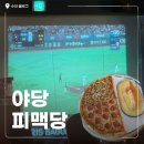 소리천로8번길 | 야당역 술집 분위기 좋은 '피맥당' 안주 종류 많아서 자꾸 끌리는 곳 후기