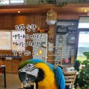 순창앵무새팜