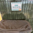 필라립