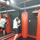 격투피트니스 송파 이미지