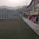 한국장애인봉사협회 | 한국유기동물복지협회 미용 봉사 후기