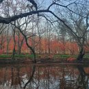 [명산 100] 선운산 (고창)