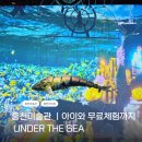 홍천 전시 추천 홍천미술관 UNDER THE SEA 무료체험까지 즐긴 후기