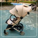 아시아시트 | 에그 스카이2 통풍 라이너 통풍시트 호환 후기, 여름 휴대용 유모차 고민 끝