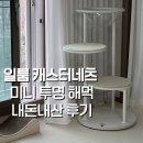 망고캣 | 우리 집 냥이 넷둥이 최애템! 일룸 캐스터네츠 커스텀 캣타워 미니 투명 해먹 후기