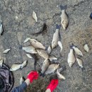 이천낚시터 이미지