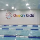 오션키즈 이미지