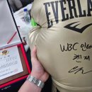 위너 복싱 이미지