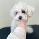 멈머링(mummuring) 이미지