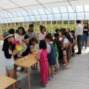 딸기나라 이미지