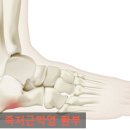 두바이 짐 이미지