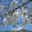 앗~~싸노래방 이미지