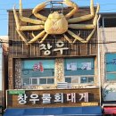 구룡포 창우물회 티스토리