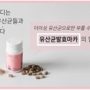 버킷바디
