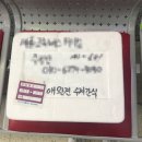 [입양 후기] 이니그마 레몬 입양 후기 (주토피아)