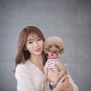 봄날사진관 네이버블로그