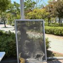 펠리시티 당구장 네이버블로그